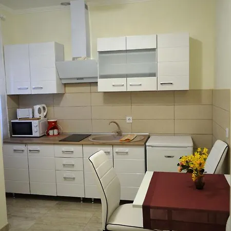 Henrietta - Violetta * Hajdúszoboszló